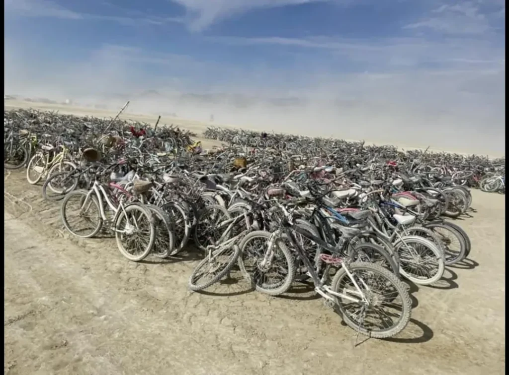 Burning Man bikes for sale Columbus Cyclery