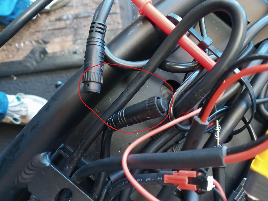 Tree Cable sized
