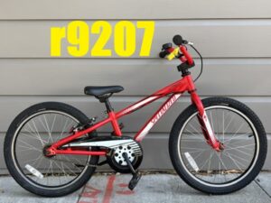 Kid's Bike 20in.