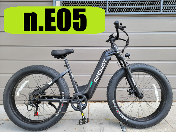 nE05