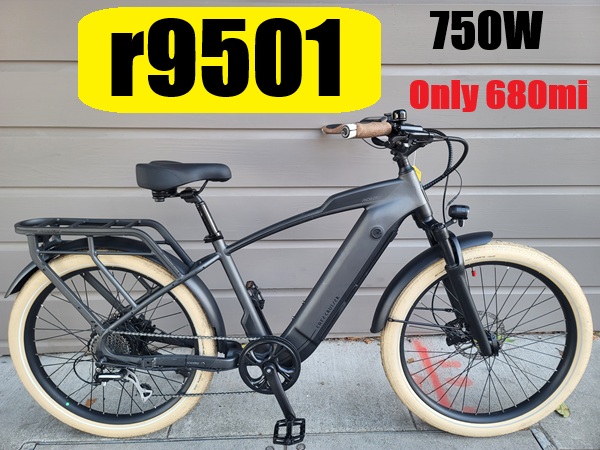 r9501
